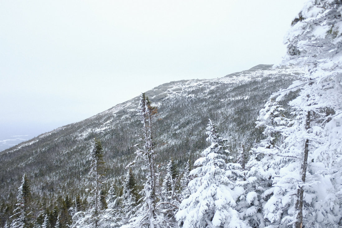 A Meeting on MacIntyre Ridge